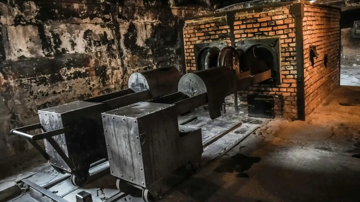 Auschwitz-Birkenau: Tour guiado + Transporte + Comida