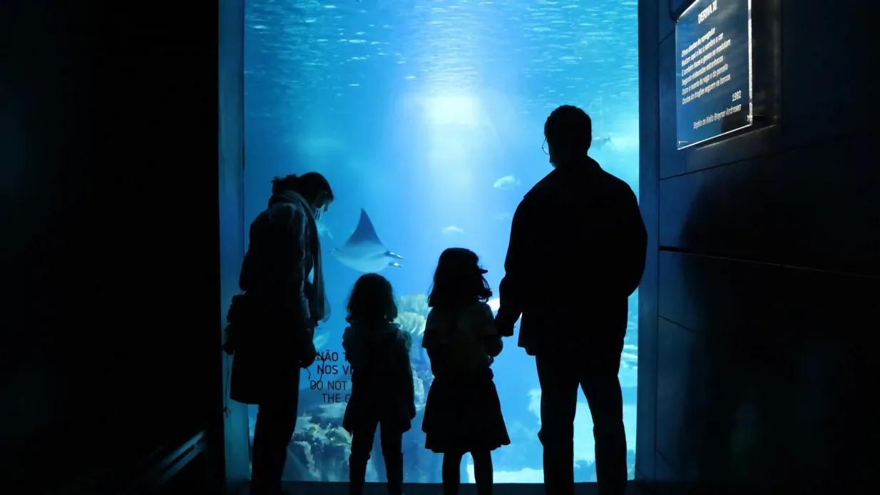 Oceanário de Lisboa: Private Führung Bereitgestellt von Oceanário de Lisboa S.A