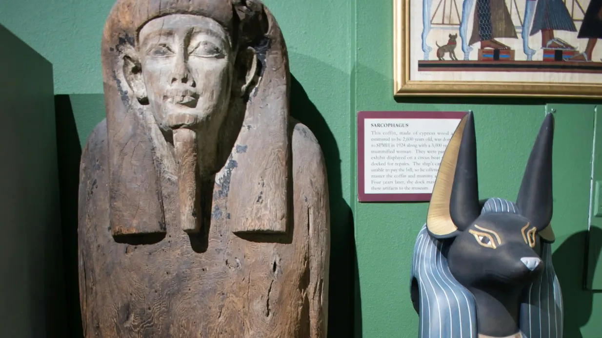 Museo de Historia de San Petersburgo: Entrada Operado por St. Petersburg Museum of History