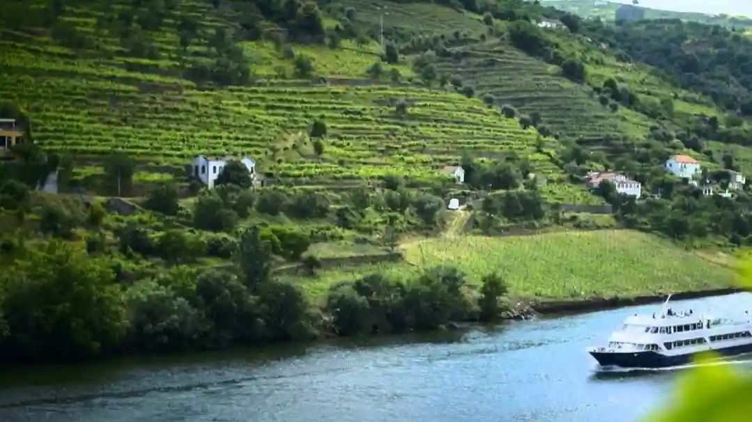 Valle del Duero: Crucero + Desayuno, Comida y Vino desde Oporto