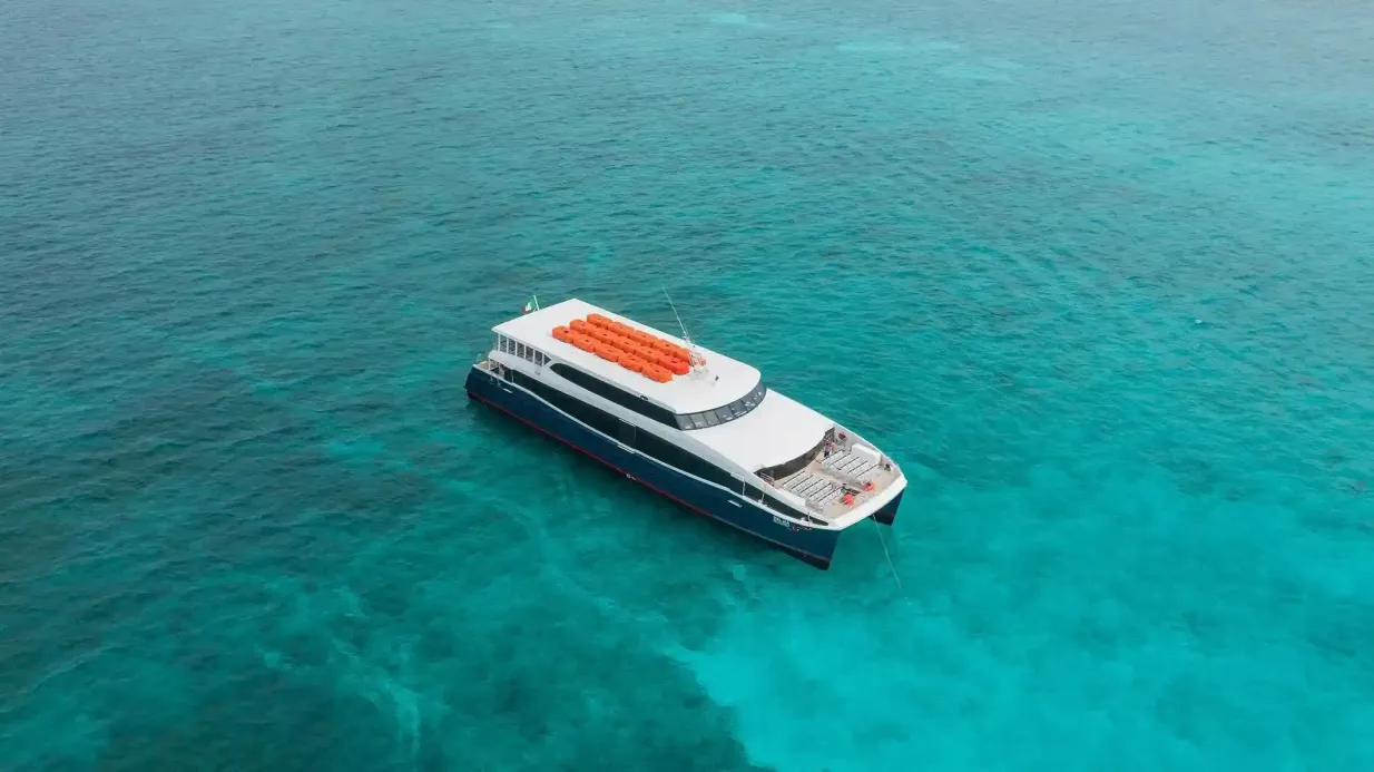 Isla Mujeres : Ferry depuis Cancún Fournie par Experiencias Xcaret Web, SAPI de CV