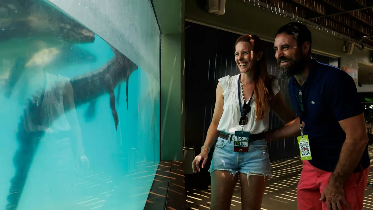 Visite VIP de Big Croc Encounter Fournie par Crocosaurus Cove