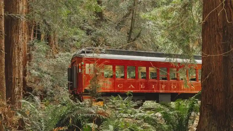 Skunk Train: Wolf Tree Turn Provided by Mendocino Railway