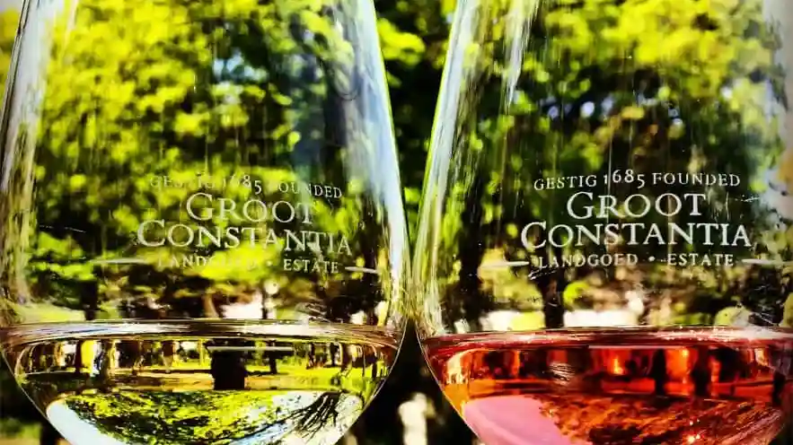 Domaine viticole de Groot Constantia