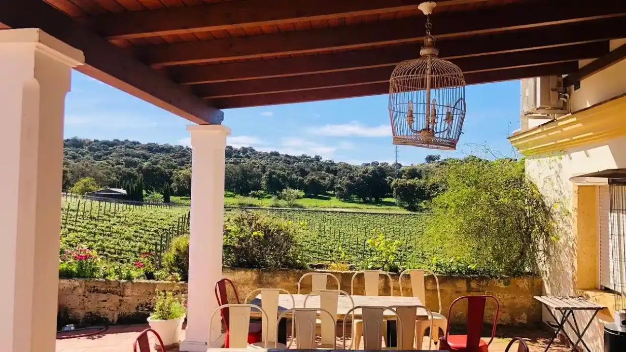 Bodega Doña Felisa: Guided Tour & Wine Tasting or Lunch Provided by Bodega Doña Felisa s.l.