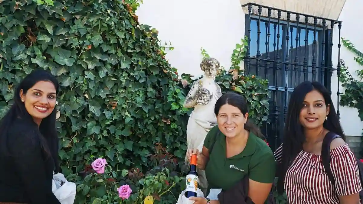Azeite de Sevilha: tour guiado