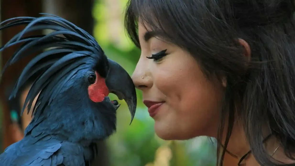 Lombok Wildlife Park: Intensives Tier- und Naturerlebnis Bereitgestellt von PT. Bintang Fauna dan Flora, Indonesia (Lombok Wildlife Park)