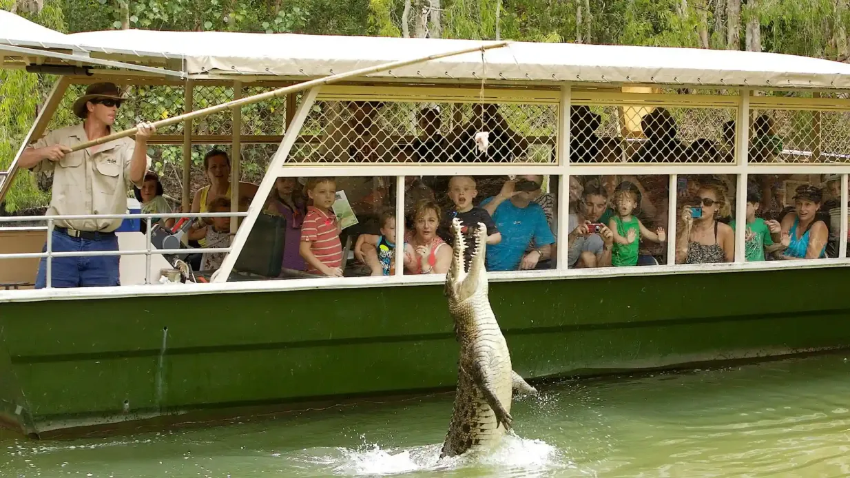 Hartley's Crocodile Adventures depuis Cairns Fournie par Down Under Tours