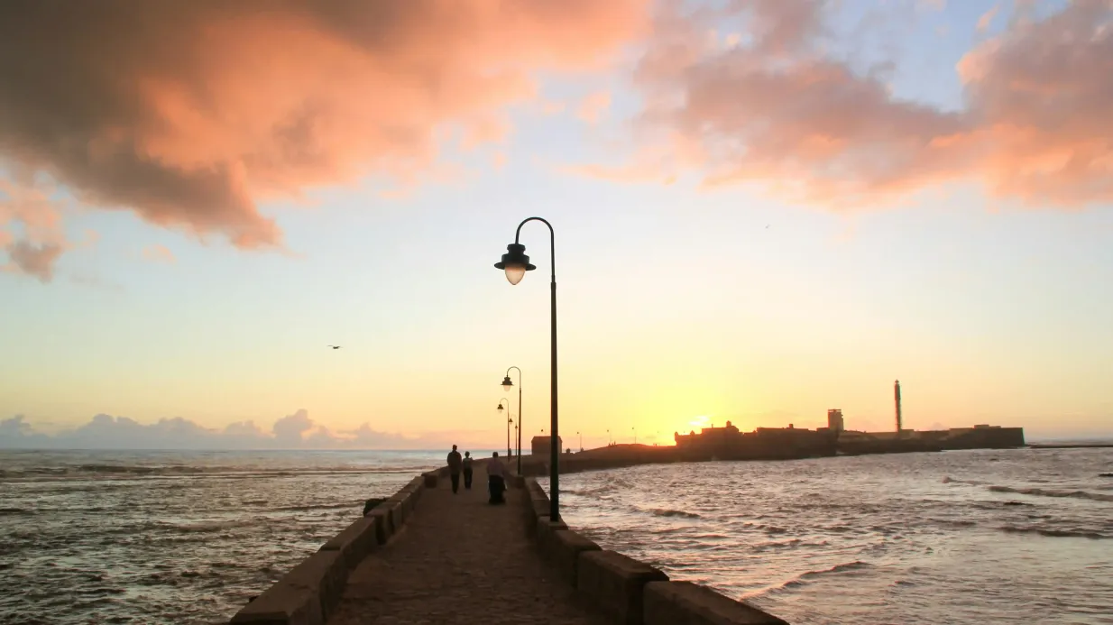Cádiz and Jerez de la Frontera: Day Trip from Seville Provided by Naturanda