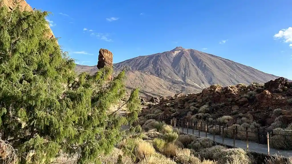 Parque Nacional do Teide, Icod de los Vinos, Garachico e Masca: visita guiada