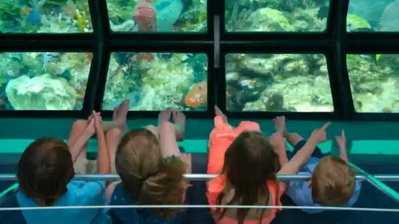 Glass Bottom Boat Key West Provided by Fury Water Adventures