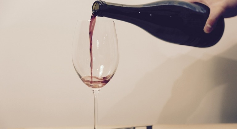 Visita tradicional de Bratislava Eslovaquia — #2