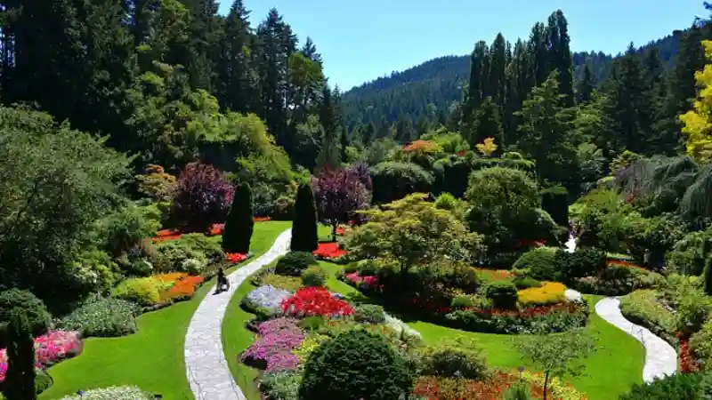 Hin- und Rückfahrt von Victoria nach Butchart Gardens Bereitgestellt von Pacific Northwest Transportation Services