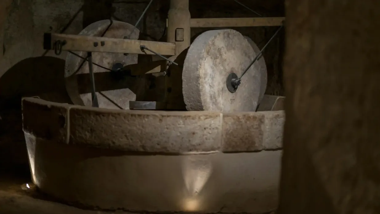MOOM Matera Olive Oil Museum: Entry Ticket