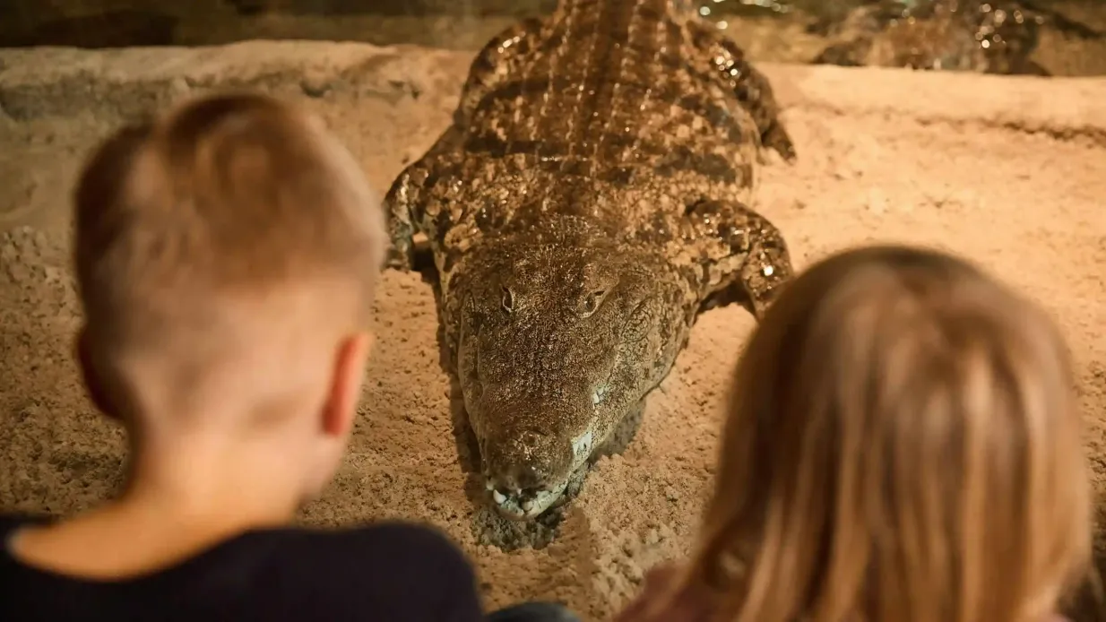 AquaZoo Leeuwarden: Eintrittskarte