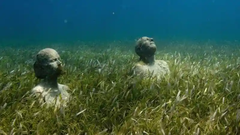 Cancún: MUSA Underwater Art Museum Glass-Bottomed Boat Tour with Drink