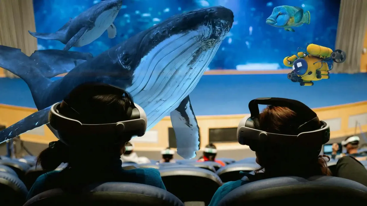 Oceanogràfic – Ozeaneum von Valencia: Eintrittskarte + Mixed-Reality-Erlebnis