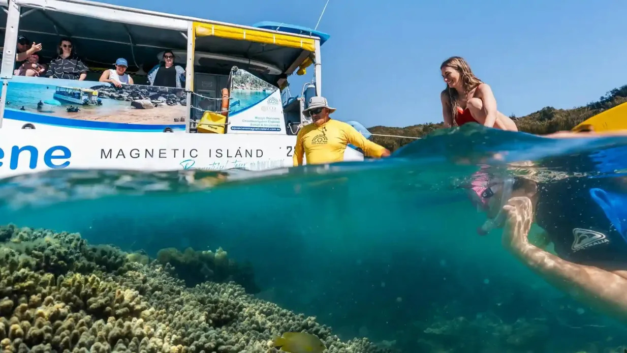 Île magnétique : Excursion en bateau + plongée en apnée guidée + ferry aller-retour facultatif Fournie par Aquascene Magnetic Island
