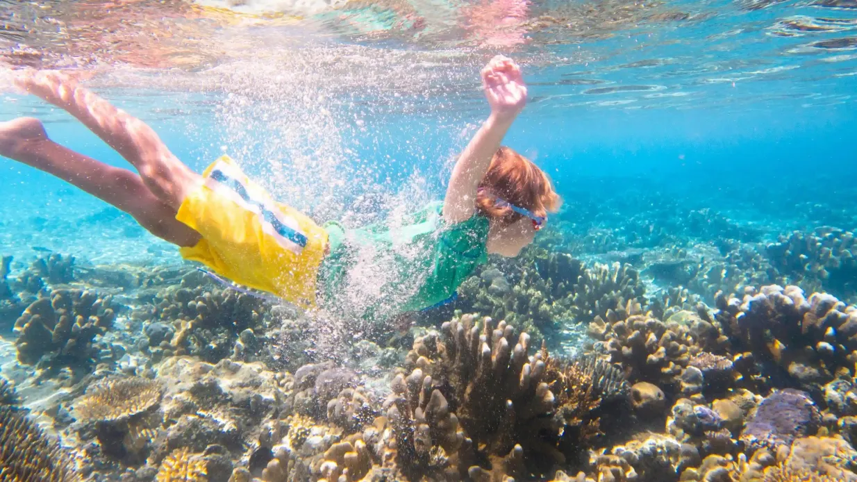 Isola di Giftun: Tour guidato di snorkeling da Hurghada + pranzo e bevande Fornito da Ocean Air Travel and Tourism LLC