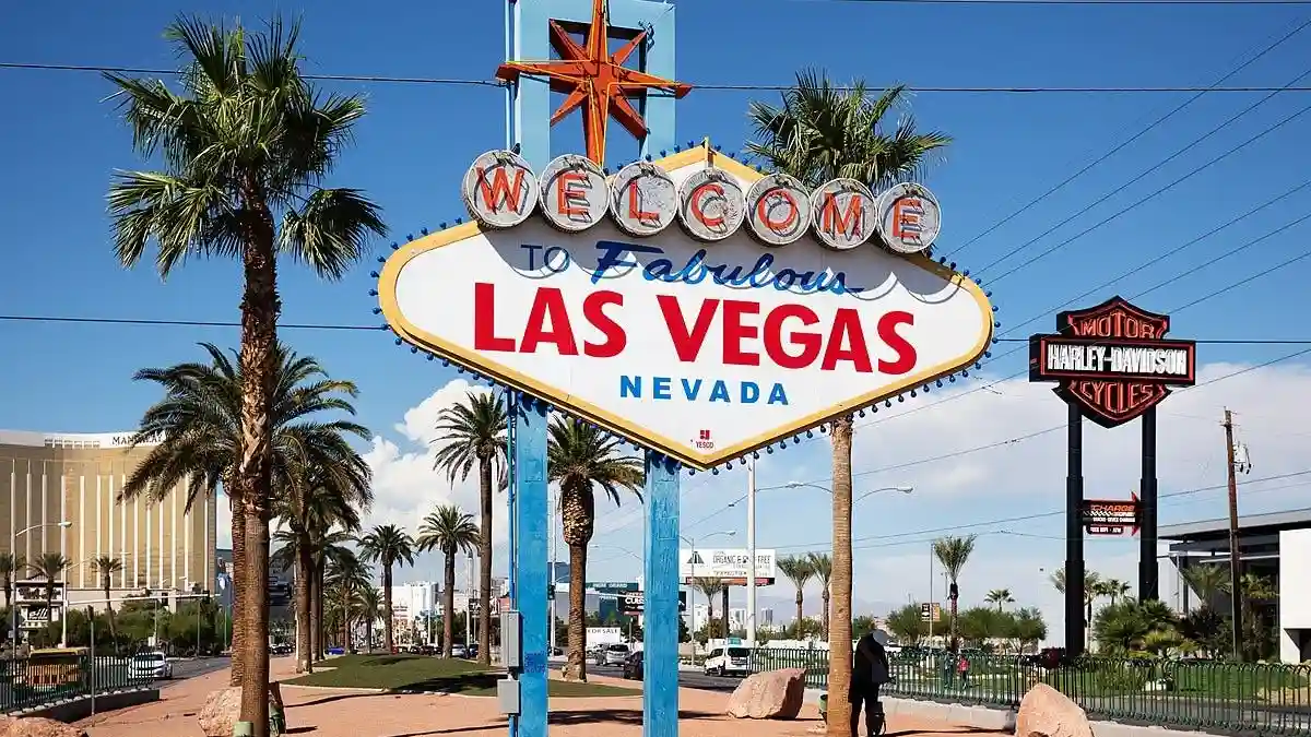 Las Vegas: Tour turistico con foto