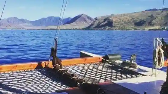 Morning Sail Provided by Fareharbor Marketplace USD