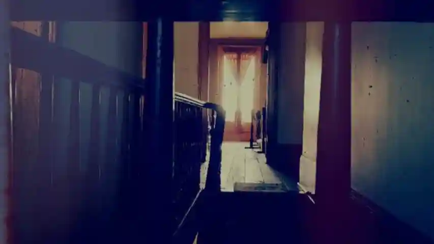 Museu da Casa Whaley: Investigação Paranormal Fora de Horas Organizado por Historic Tours of America, Inc