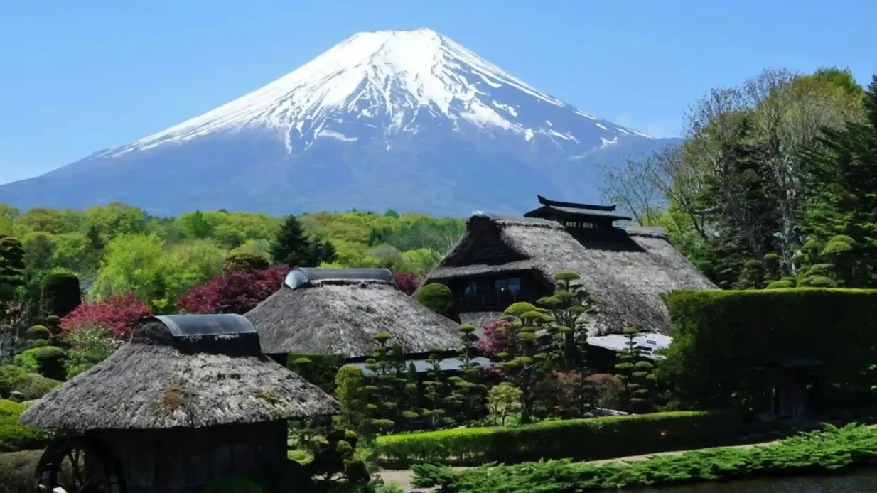 Mount Fuji, Oshino Hakkai & Gotemba Premium Outlets: Guided Bus Tour from Tokyo
