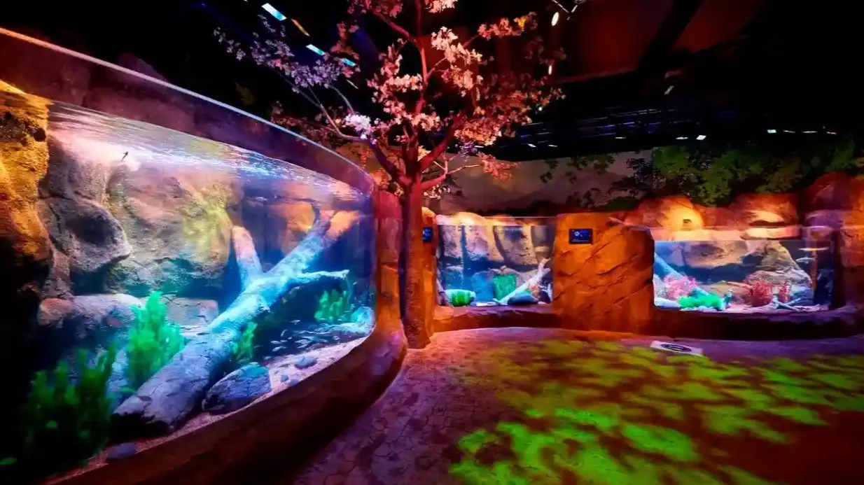SEA LIFE Nagoya: Entry Ticket Provided by Tiqets International B.V.