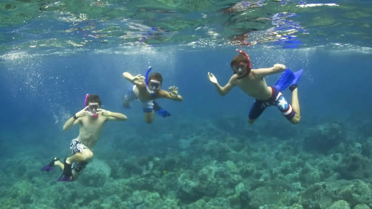 Kealakekua Bay and Captain Cook: Snorkeling Experience Provided by Fareharbor Marketplace USD