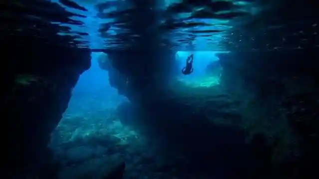 Kealakekua Bay: Marine Adventure Provided by Fareharbor Marketplace USD