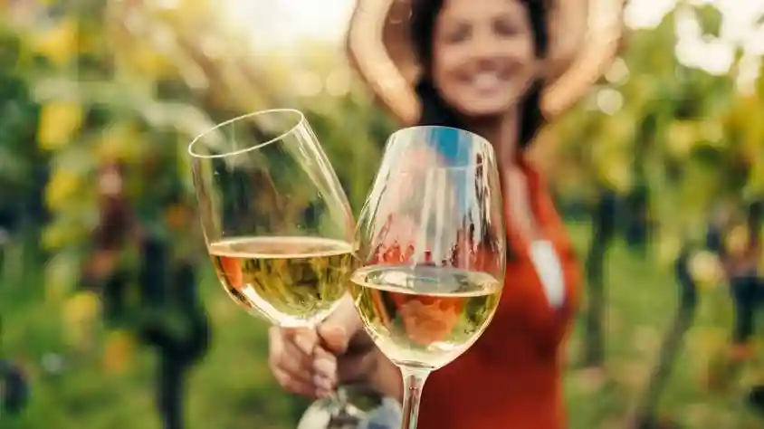 Visite des bois et des vins de San Francisco