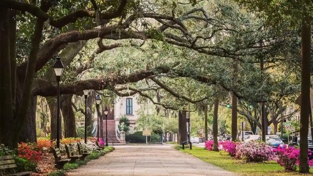 Savannah History Walk Provided by Fareharbor Marketplace USD