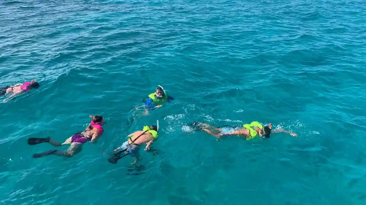 Charter privato per lo snorkeling Fornito da Fareharbor Marketplace USD