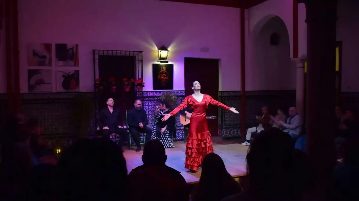 La Casa del Flamenco : Spectacle de flamenco