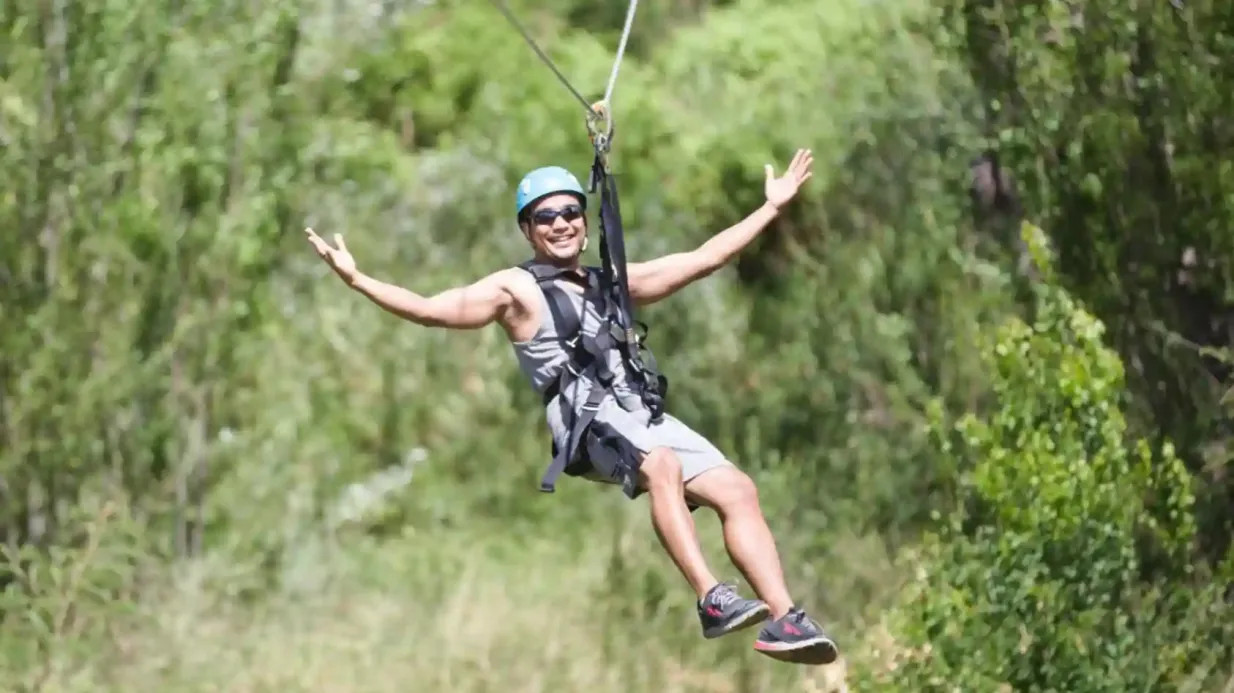 O'ahu: Dolphin Watching Cruise, Zipline, Snorkeling + Lunch & Drinks Provided by Malama Tours