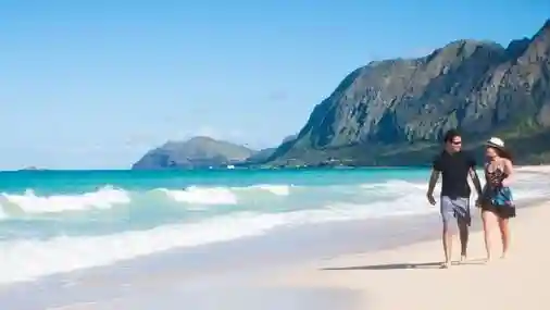 Oahu: Gran Círculo Insular, Plantación Dole y Excursión ECO a las Granjas de Macadamia Operado por Fareharbor Marketplace USD