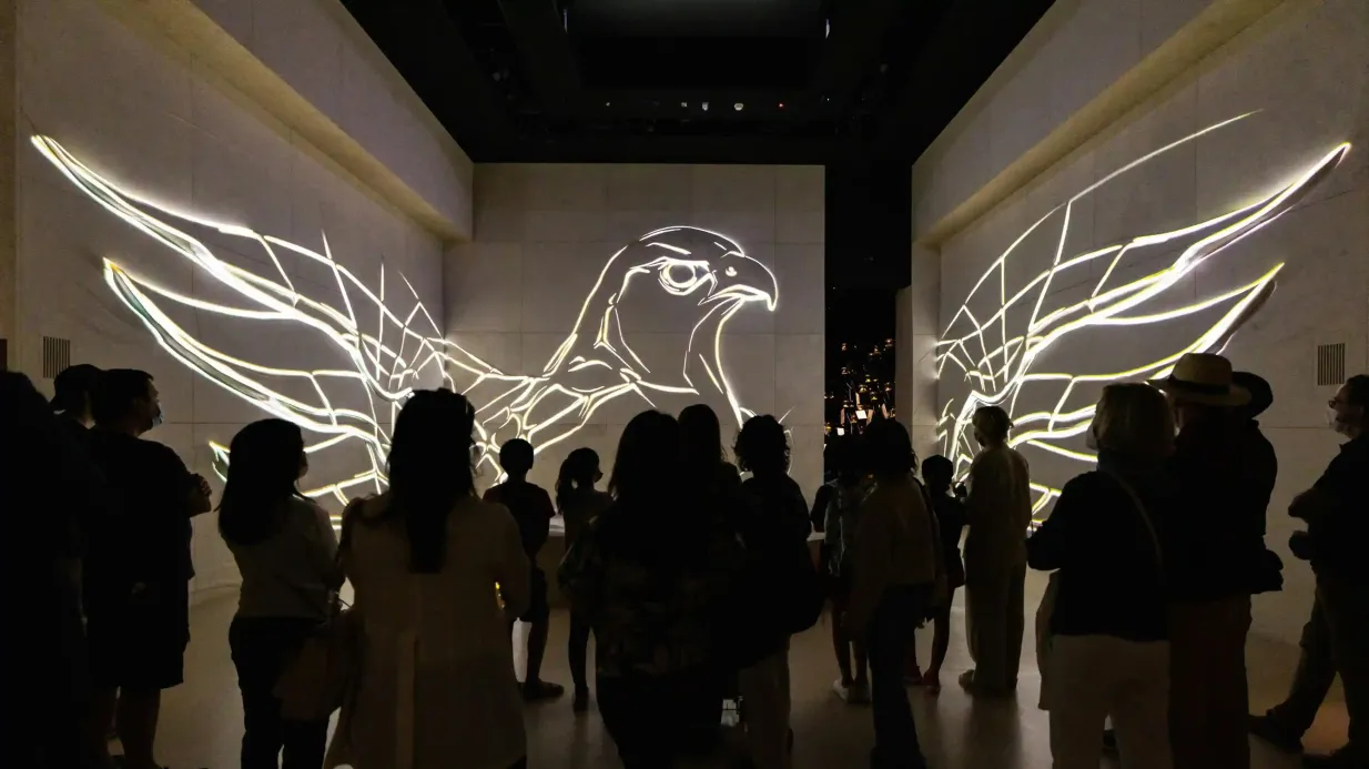 Expo City Dubaï : Billet d'entrée Vision