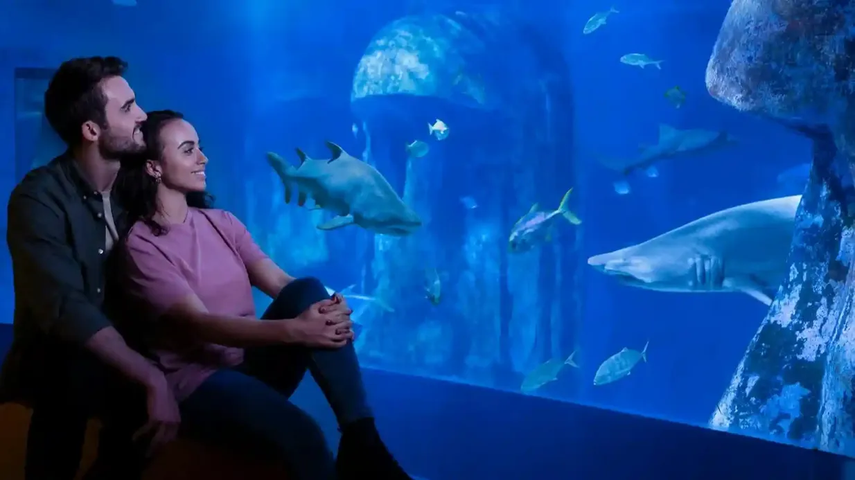 SEA LIFE London: Entry Ticket Provided by Axis & Globe