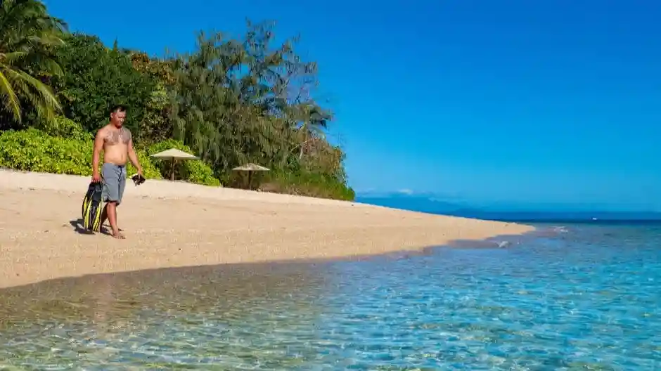 Low Isles : Excursion guidée en bateau depuis Port Douglas + plongée en apnée + thé Fournie par Calypso Reef Charters