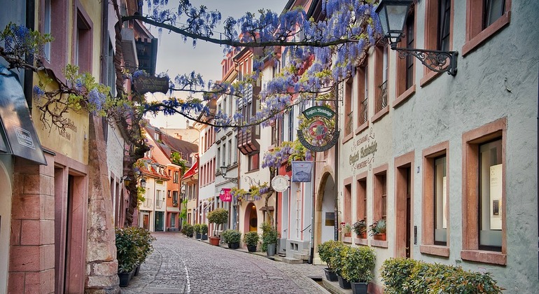 Visite à pied de Fribourg, Germany