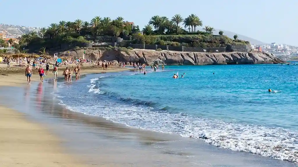 Los Cristianos: Full-Day Tour + Roundtrip Transfer