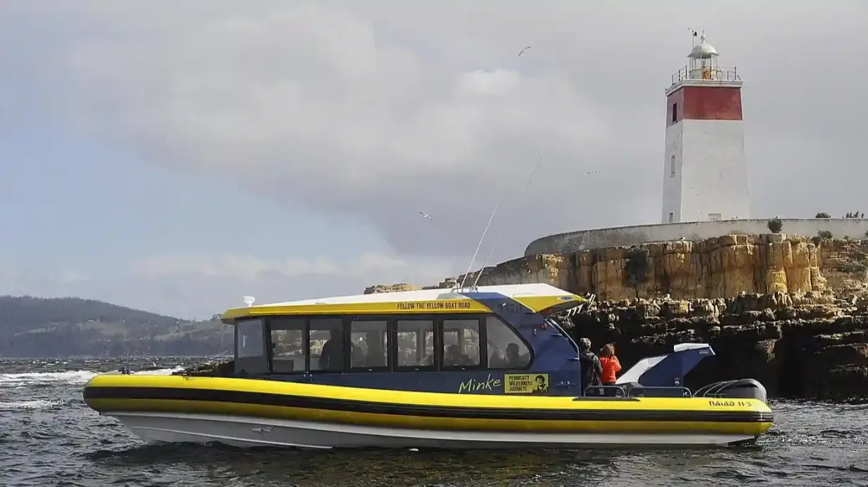 Hobart : Croisière guidée au phare d'Iron Pot Fournie par Pennicott Wilderness Journeys