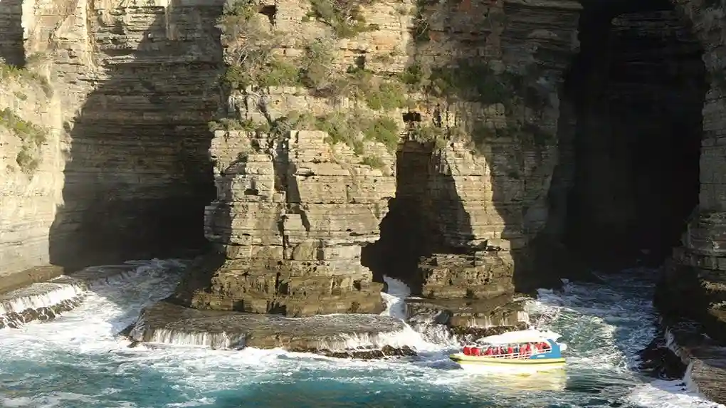 Île de Tasman : Visite guidée depuis Hobart + Croisière + Déjeuner + Port Arthur en option Fournie par Pennicott Wilderness Journeys