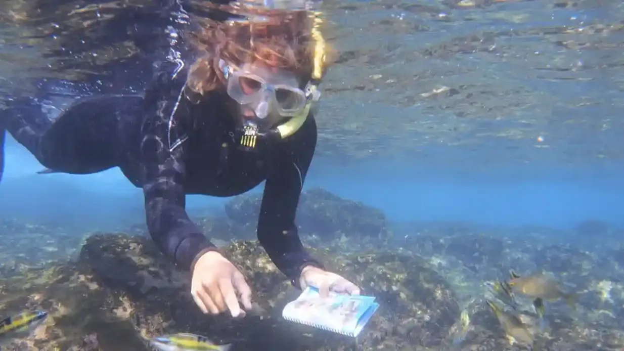 Playa Blanca: Geführtes Schnorchelerlebnis + Transfers Bereitgestellt von Sup Tours Lanzarote Experience