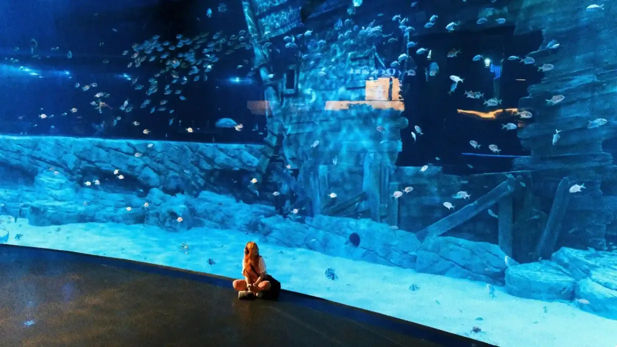 Lotte World Aquarium Hanoi: Eintrittskarte