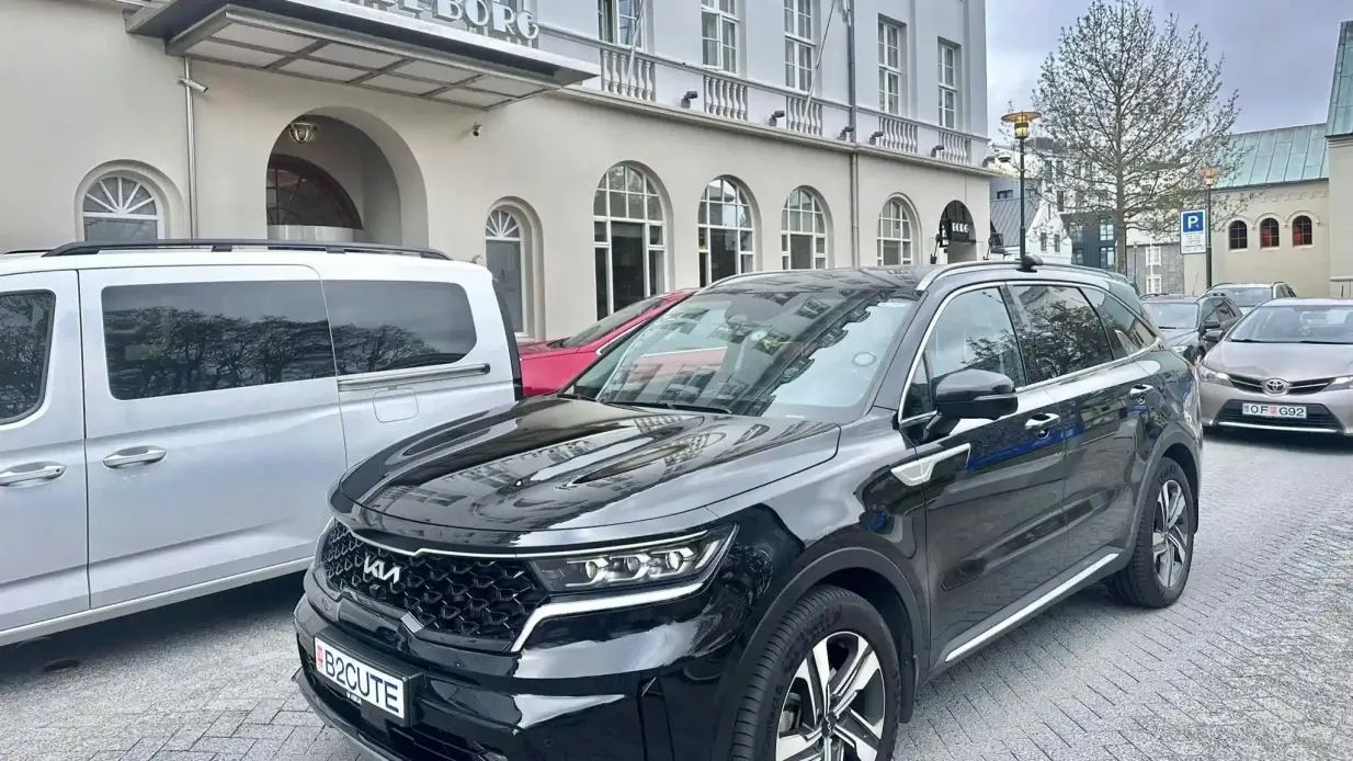 Reykjavik: Trasferimento privato dal terminal crociere di Skarfabakki all'aeroporto di Keflavik Fornito da B2cute Transfer