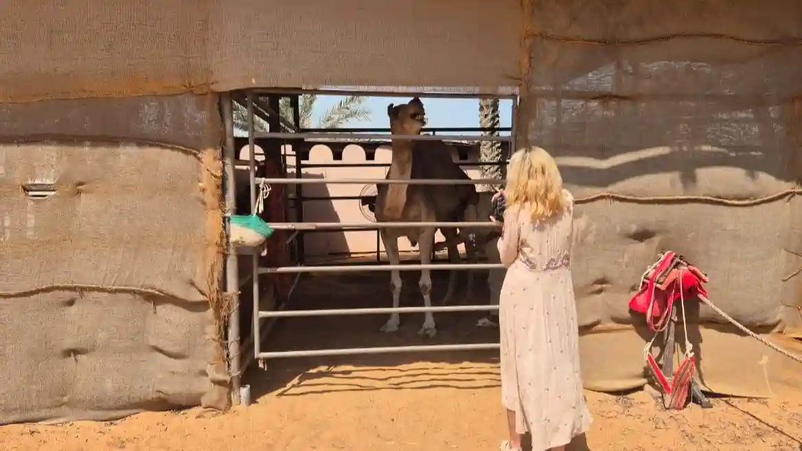 Al Ain: Private Guided Day Tour from Abu Dhabi Provided by Trip Habibi Tourism LLC