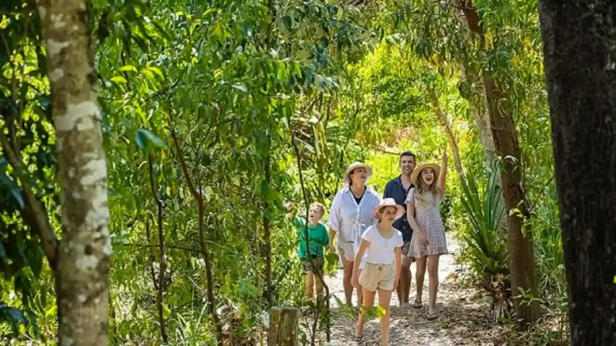Whitehaven Beach: Half-Day Morning or Afternoon Cruise from Airlie Beach Provided by Cruise Whitsundays
