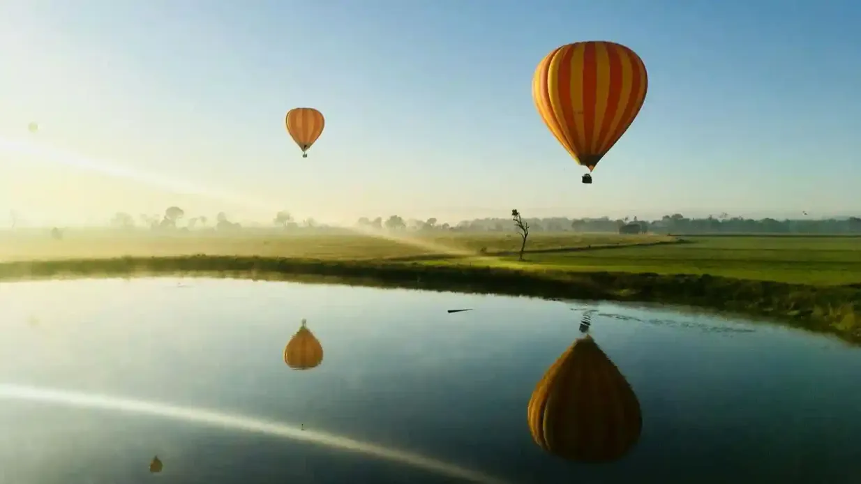 Gold Coast: Esperienza in mongolfiera + drink Fornito da Hot Air Balloon Cairns & Gold Coast