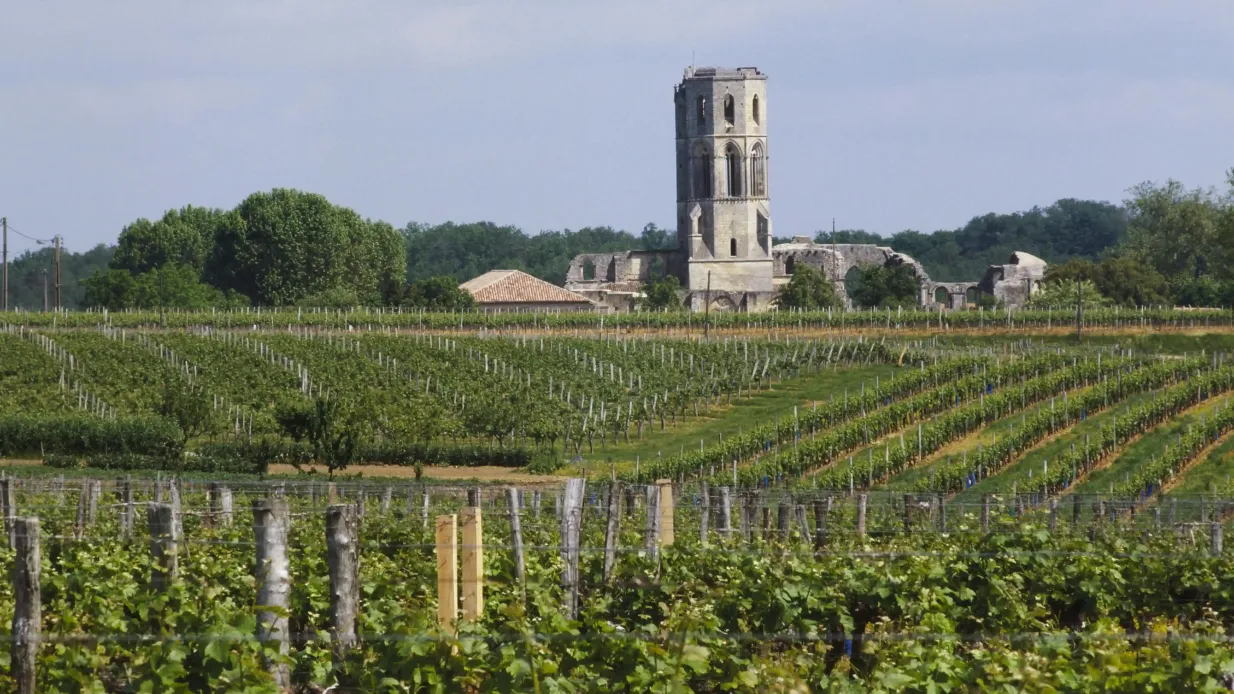 Abbaye de La Sauve-Majeure: Entry Ticket Provided by Tiqets International B.V.